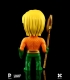 XXRAY Dc Comics Aquaman