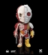 XXRAY Dc Comics Deadshot