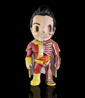 XXRAY Dc Comics Shazam