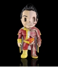 XXRAY Dc Comics Shazam