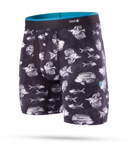 Stance Boxer Fish Bones