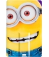 Carte USB 8Go Minion Love Minion