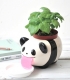 Peropon PAPA Panda, Plante à pousser