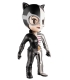 XXRAY Dc Comics Catwoman 3D