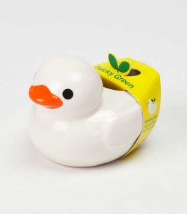 Ducky Green - Blanc