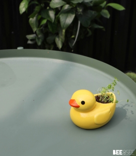 Ducky Green - Jaune