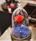 Speaker Beauty & the Beast "Enchanted rose"