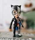 XXRAY Dc Comics Catwoman 3D