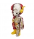 XXRAY Dc Comics Flash 4D