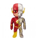 XXRAY Dc Comics Flash 4D