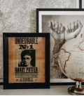 Harry Potter Sirius 3D Lenticular Poster
