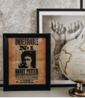 Harry Potter Sirius 3D Lenticular Poster