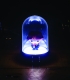 Ron Mini Bell Jar Light