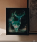 Cadre 3D Harry Potter Expecto Patronum