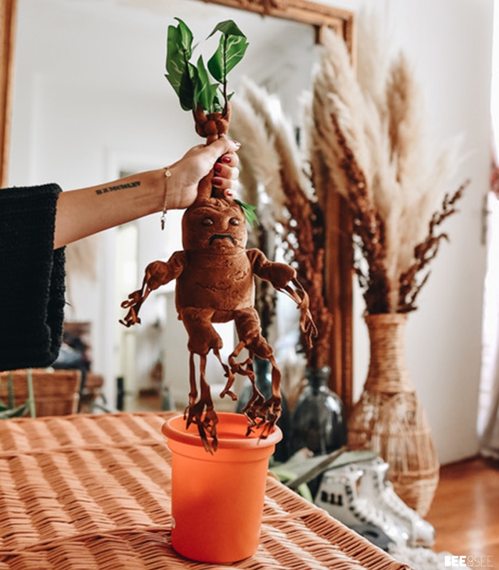 interactive mandrake