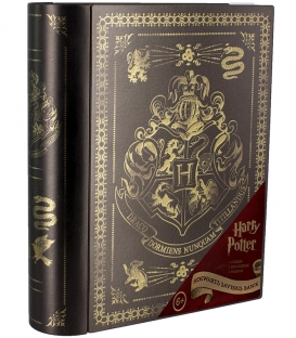 Tirelire Harry Potter Livre Hogwarts