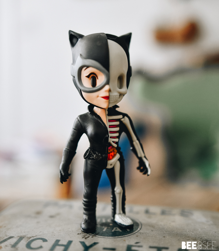 figurine xxray catwoman